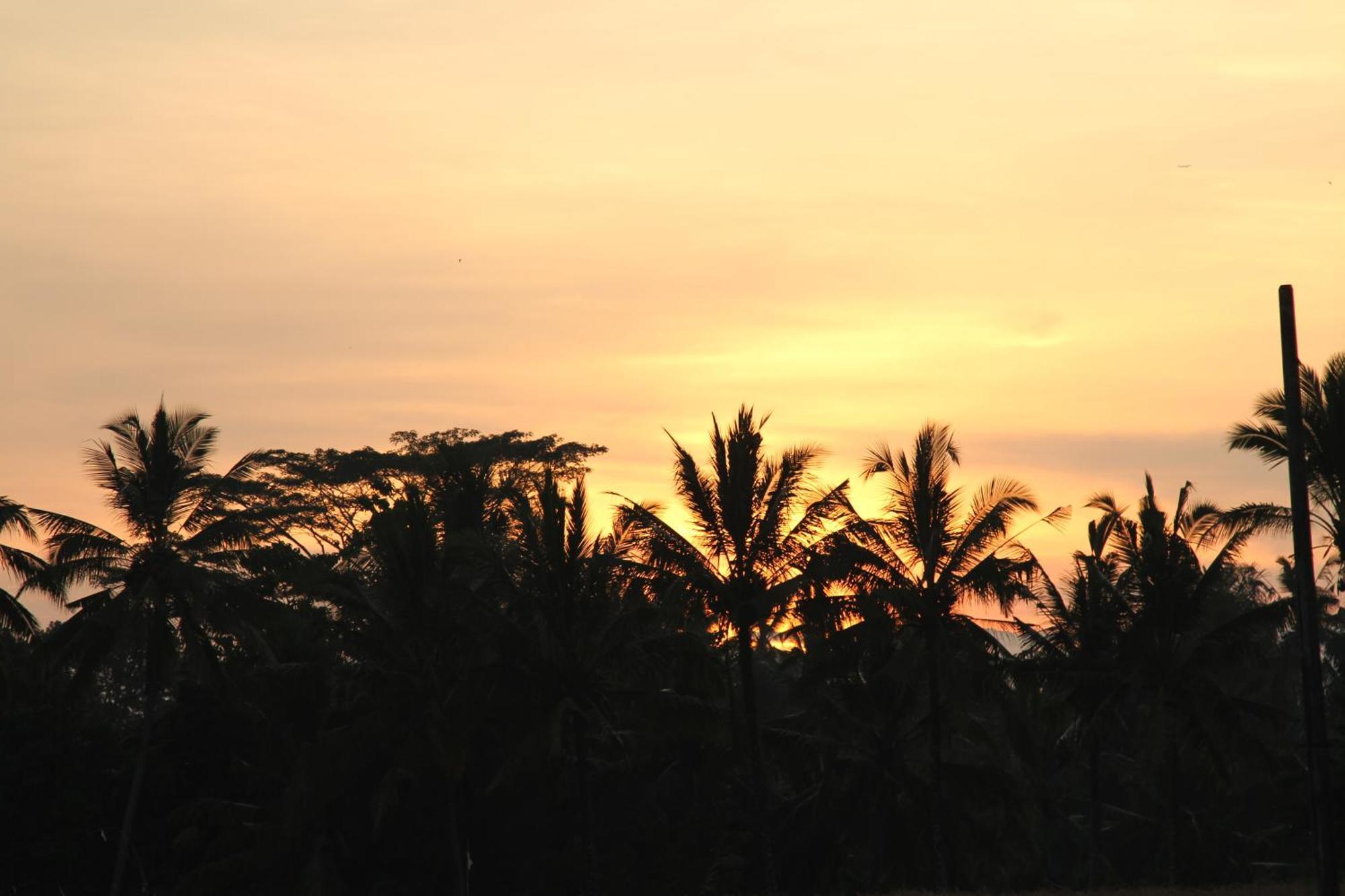 Ubud Kartini Hostel Exterior foto