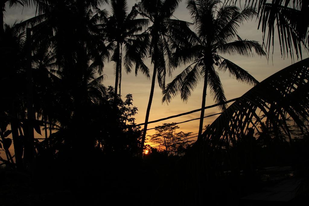 Ubud Kartini Hostel Exterior foto